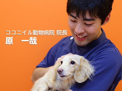 獣医師 原 一哉
