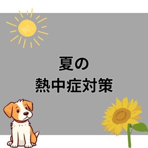 夏の熱中症対策