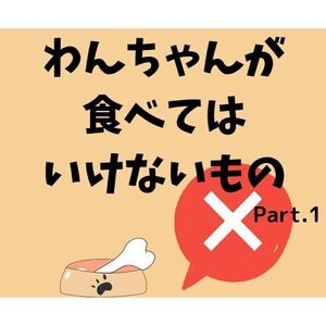 犬が食べてはいけないもの