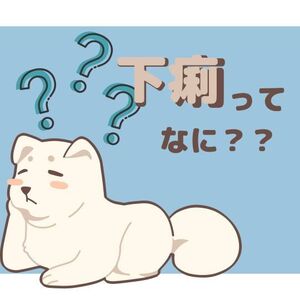 下痢ってなに？？