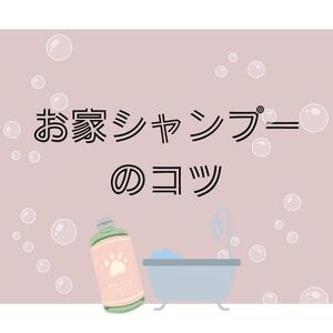 お家シャンプーのコツ
