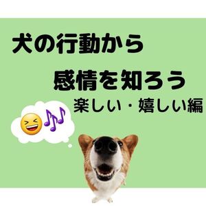 犬の行動から感情を知ろう　楽しい・嬉しい編