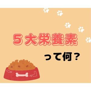 5大栄養素って何？