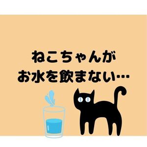 ねこちゃんがお水を飲まない・・・