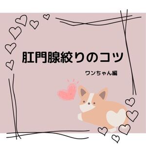 肛門腺絞りのコツ　～ワンちゃん編～