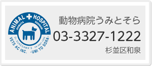 動物病院うみとそら