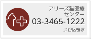 アリーズ猫医療センター