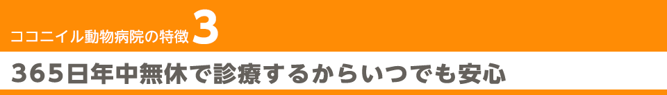 365日年中無休で診療するからいつでも安心