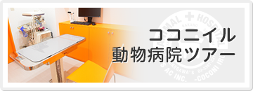 ココニイル動物病院ツアー