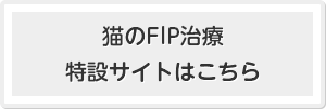 猫のFIP治療 特設サイトはこちら
