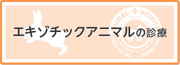 エキゾチックアニマルの診療