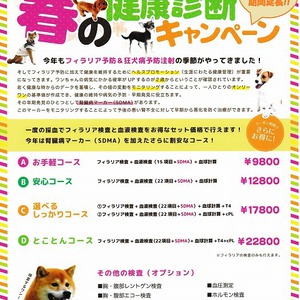 犬の「フィラリア検査＆春の健康診断キャンペーン！！」