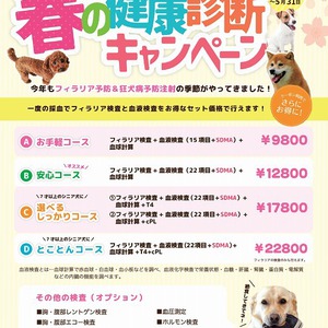 犬の「フィラリア検査＆健康診断キャンペーン」