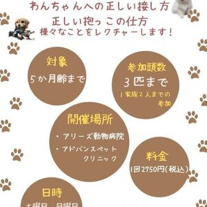 6月からパピーパーティー開催します！