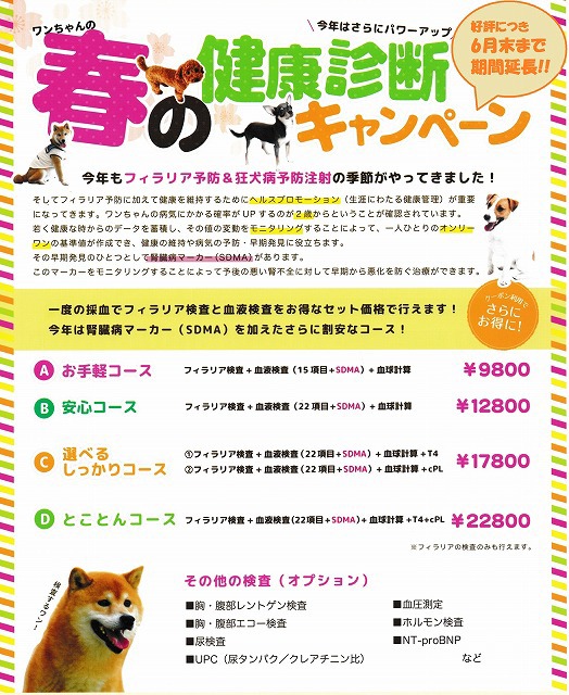 犬の フィラリア検査 春の健康診断キャンペーン お知らせ ココニイル動物病院 中野 高円寺 杉並 犬 猫 フェレット うさぎ 鳥