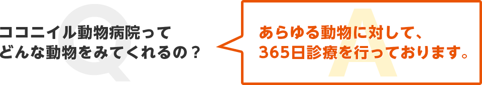 ココニイル動物病院は、あらゆる動物に対して365日診療を行っております。